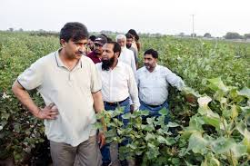 Agricultural Research